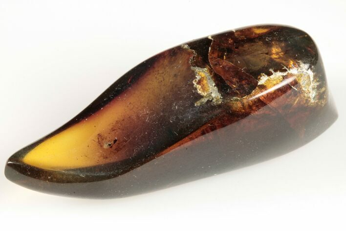 Polished Chiapas Amber ( g) - Mexico #193193